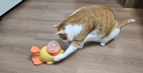 Cat Interactive Rotational Snack-Surprise Launcher photo review