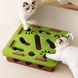 Kitten Interactive Claw Kit