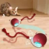 Cat Tail Teaser Dancing Ball