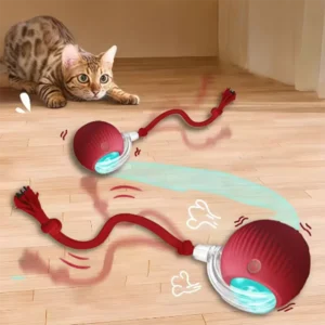Cat Tail Teaser Dancing Ball