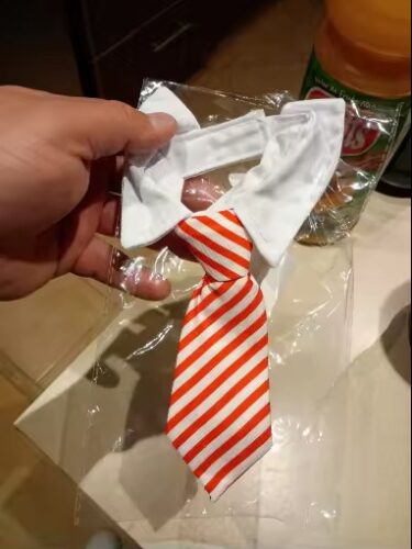 PawZelio Chic Cat Collar photo review